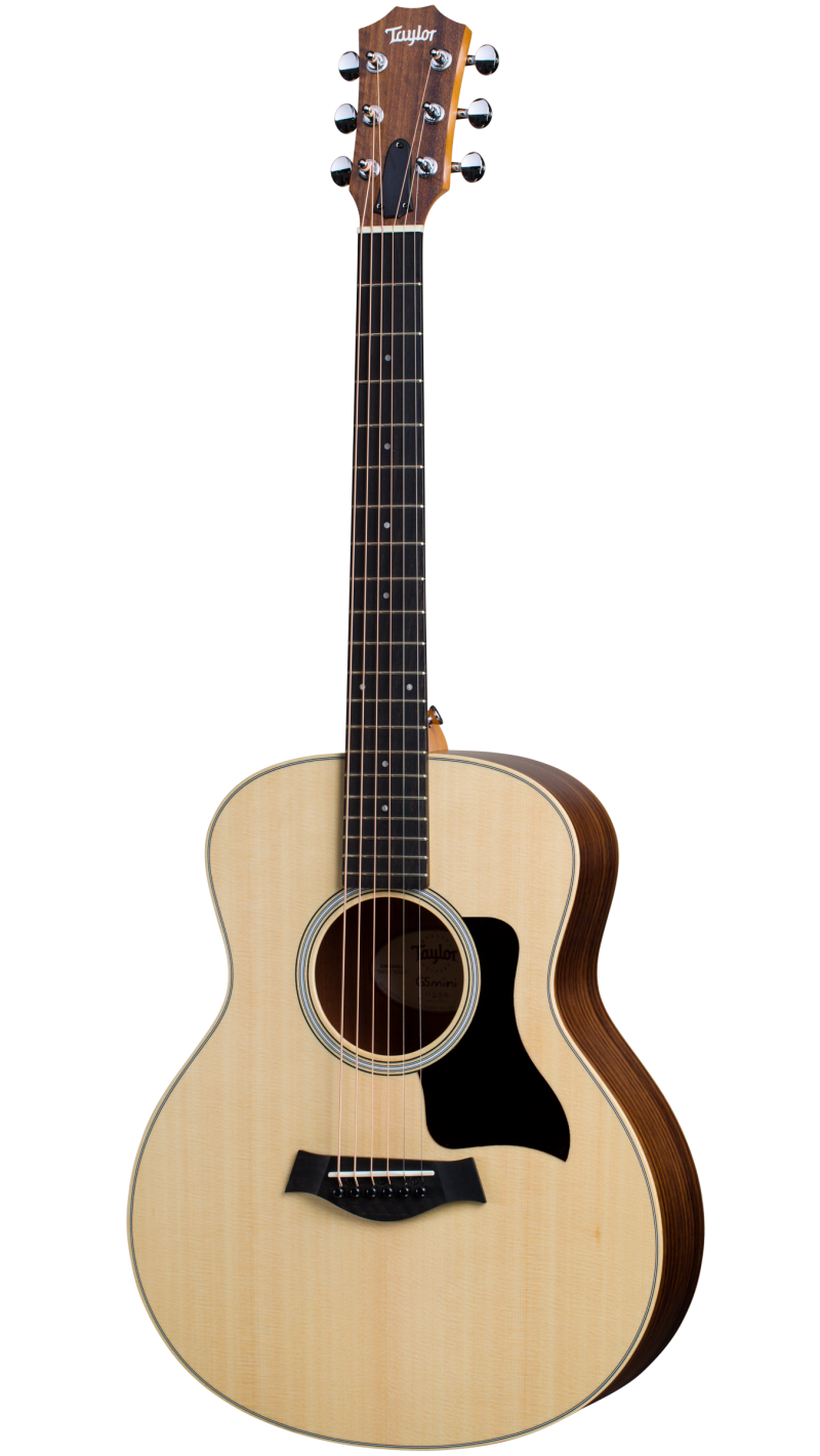 Taylor GS Mini RW/FALTD2013